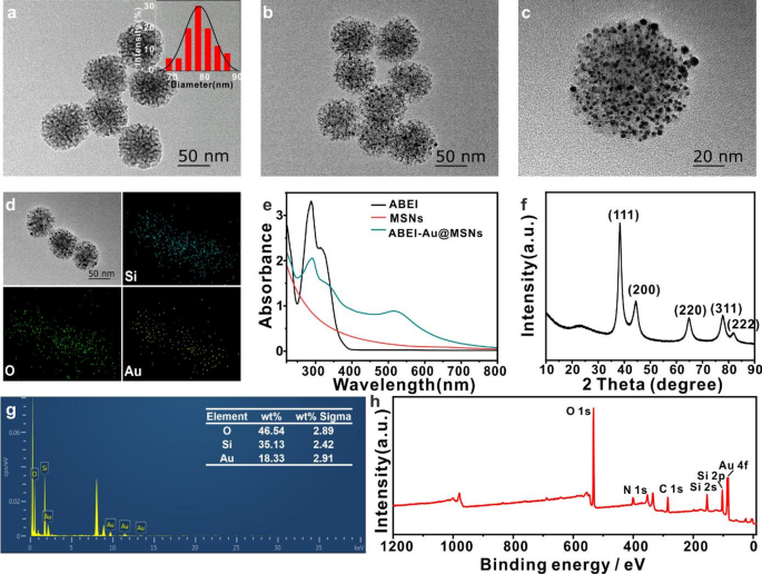 Multiplex MicroRNA Profiling Using a Logic Nanodevice-Based Electrochemiluminescence Biosensor for the Rapid Diagnosis of Acute Myocardial Infarction