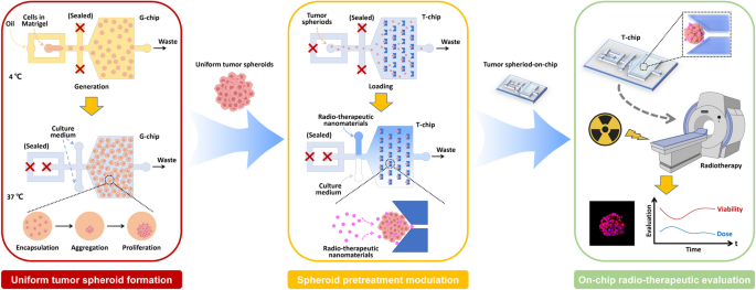 An Integrated Microfluidic Platform Possessing Uniform Tumor Spheroids for Evaluating Radio-Therapeutic Nanomaterials