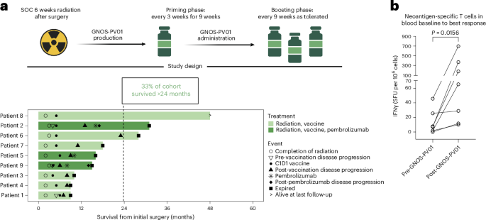 Immunological outcomes of a bespoke DNA cancer vaccine in glioblastoma