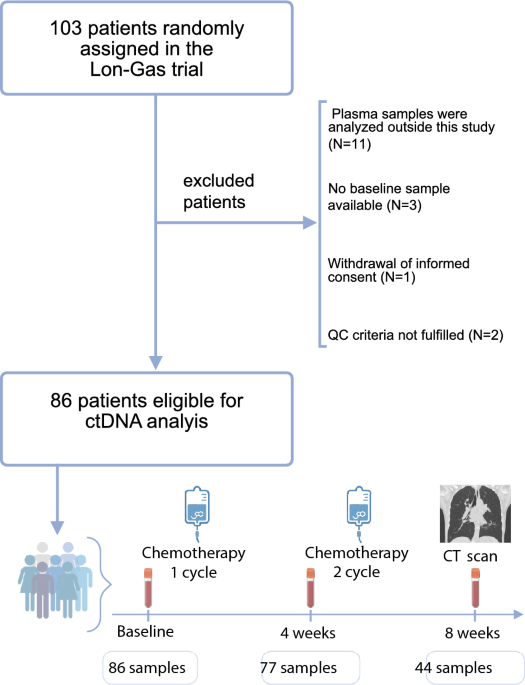 Circulating tumor DNA-guided response evaluation in patients with previously treated gastroesophageal adenocarcinoma