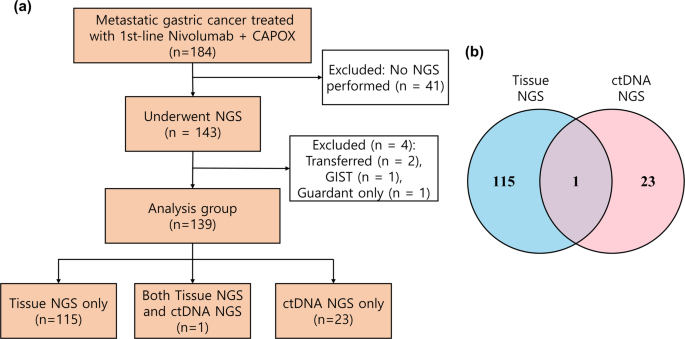 Prognostic implications of tissue-based homologous recombination deficiency in metastatic gastric cancer treated with immune checkpoint inhibitor plus chemotherapy