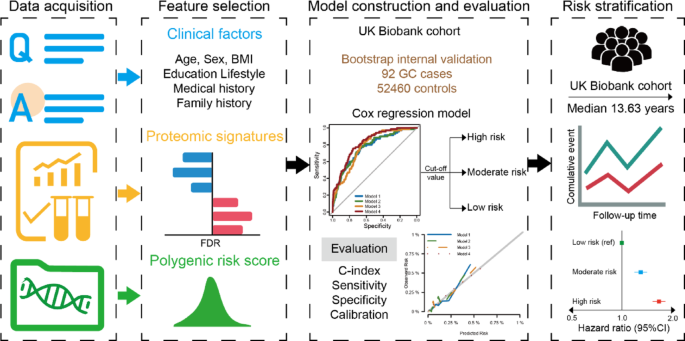 Plasma proteomic signatures improve risk stratification and personalized screening for gastric cancer