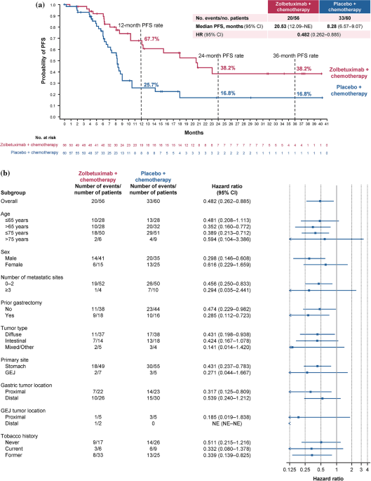 Zolbetuximab plus chemotherapy in Japanese patients with claudin 18.2–positive gastric or gastroesophageal junction adenocarcinoma: a combined subgroup analysis of the phase 3 SPOTLIGHT and GLOW trials