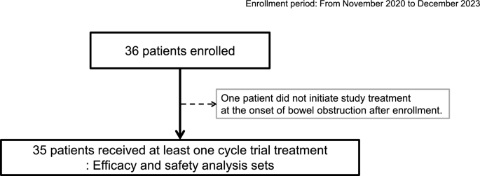 A phase II trial of ramucirumab and docetaxel as second-line treatment for patients with advanced gastric cancer (HGCSG 1903)