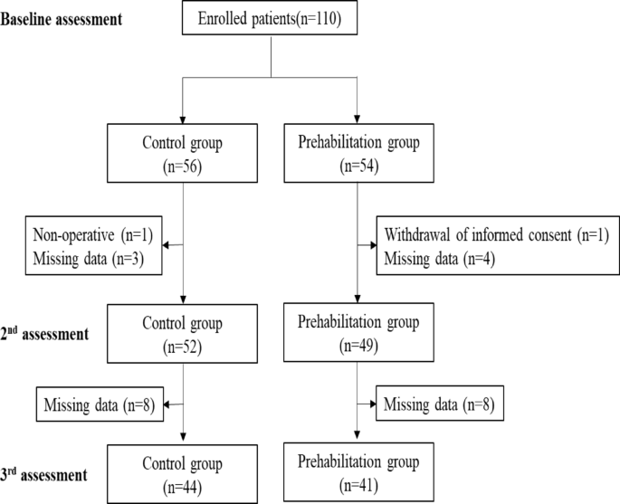 Exercise–nutrition prehabilitation attenuates lean body mass loss before gastrectomy: a randomized controlled trial