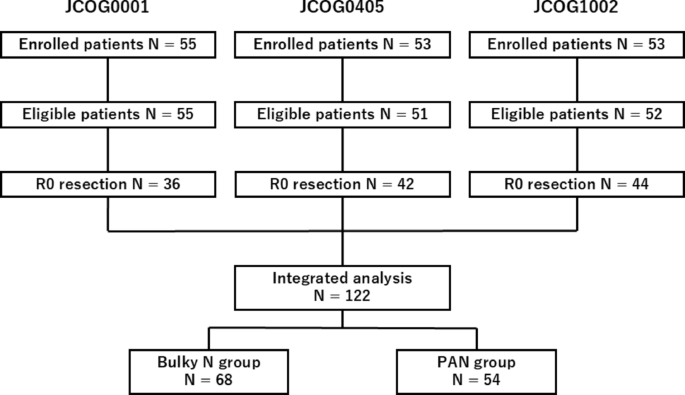 Therapeutic value of para-aortic lymph node dissection in gastric cancer with extensive lymph node metastasis: integrated analysis of three phase II trials (JCOG2212A)