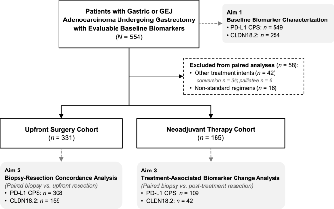 Diagnostic discordance and treatment-associated change of PD-L1 and CLDN18.2 in gastric cancer: a real-world analysis of paired biopsy–resection samples