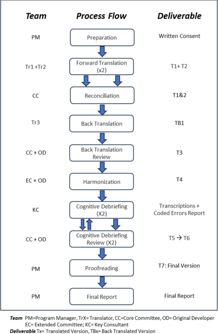 Spanish Electronic and Paper Version of the Comprehensive Frailty Assessment Instrument (CFAI): a Cross-Cultural Adaptation
