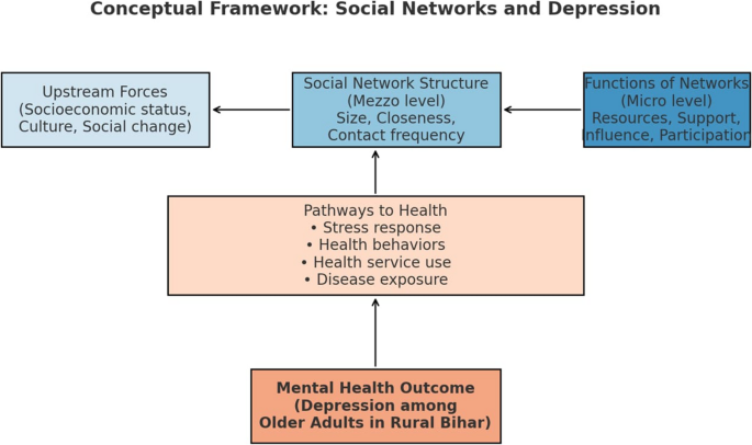 Social Networks and Mental Health: A Study of Older Adults in Rural Bihar, India