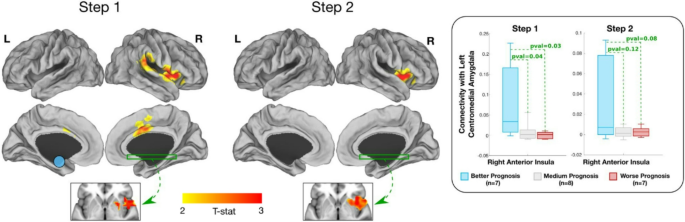 Functional and Structural Brain Imaging Correlates of Treatment Response in Functional Movement Disorder