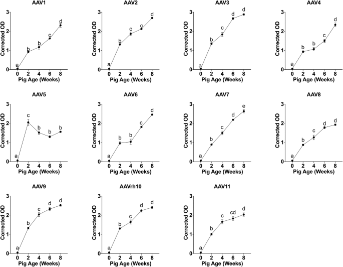 Environmental and developmental factors shape anti-AAV immunity in pigs