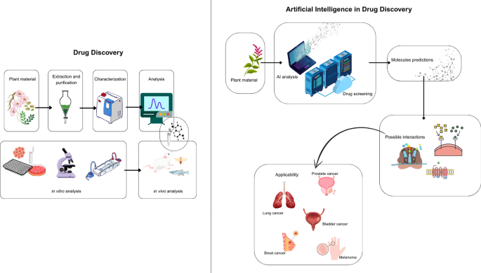 Artificial intelligence-based screening of phytochemicals for targeted cancer therapy