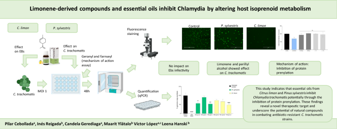 Limonene and its metabolite perillyl alcohol inhibit Chlamydia trachomatis growth by altering host isoprenoid metabolism