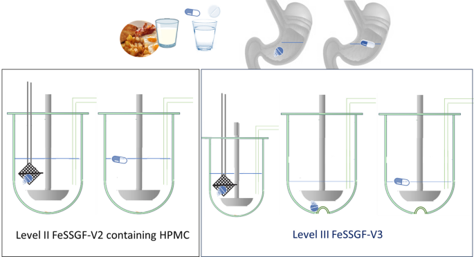 Estimating Intragastric Disintegration Times of Immediate Release Dose Units Administered After a High-Calorie, High-Fat Meal Using Standardized, Commercially Available Equipment and Materials