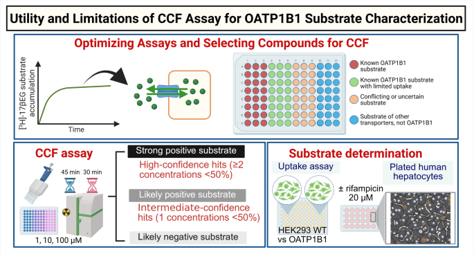 Evaluating the Utility and Constraints of the Competitive Counter Flow (CCF) Assay in OATP1B1 Substrate Profiling