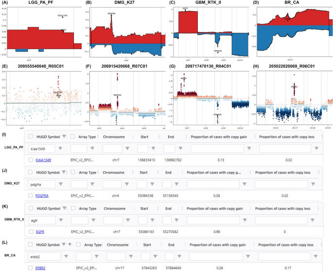CnQuant: high-resolution chromosomal copy number profiling for precision oncology in the clinics