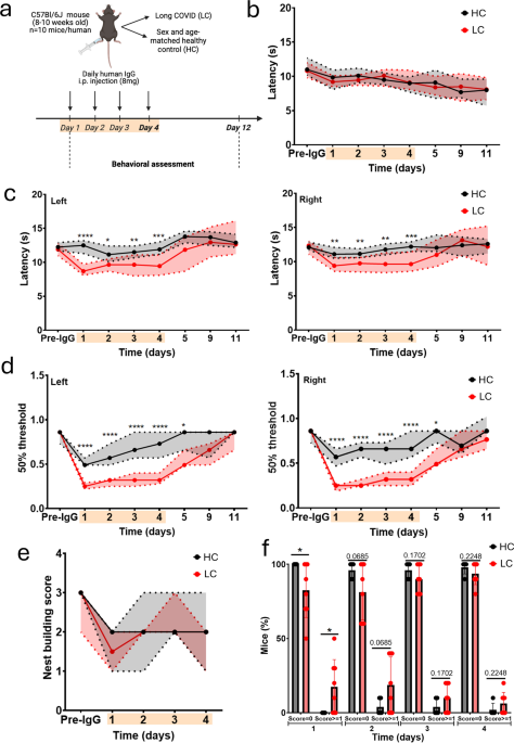 Pathogenic IgG from long COVID patients with neurological sequelae triggers sensitive but not cognitive impairments upon transfer into mice