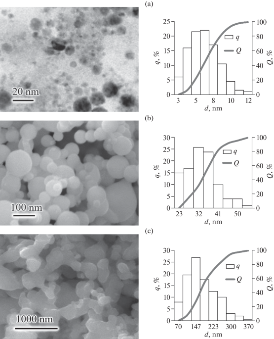Germination of Wheat Seedlings Exposed to Nickel Nanoparticles with Sizes of 6, 58, and 171 nm