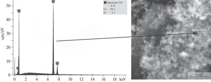 Biopolymer Composites and Nanoscale Systems in Crop Production