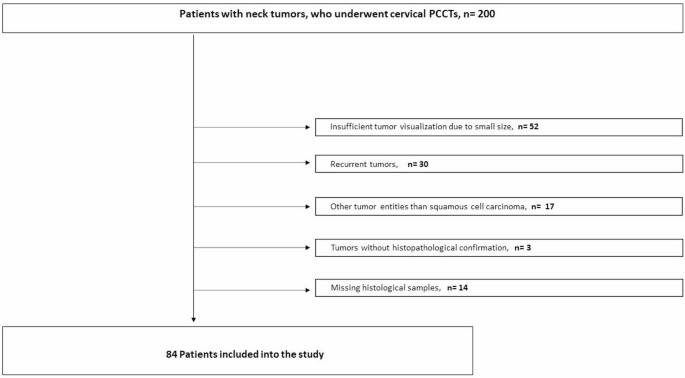 Photon counting computed tomography in head and neck squamous cell carcinoma: iodine concentration and histopathological features
