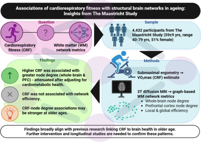 Associations of cardiorespiratory fitness with structural brain networks in ageing: insights from The Maastricht Study