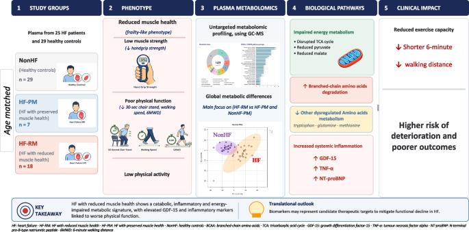 Plasma metabolomic and inflammatory profiles associated with low physical function in heart failure: an integrated cardiac–metabolic–muscular phenotype