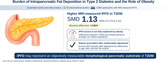 Burden of Intrapancreatic Fat Deposition in Type 2 Diabetes and the Role of Obesity: A Systematic Review and Meta-Analysis