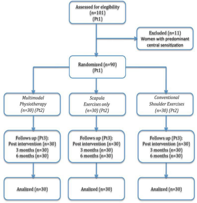 Multimodal physiotherapy versus scapular and conventional exercise for persistent pain following breast cancer treatment: a randomized controlled trial