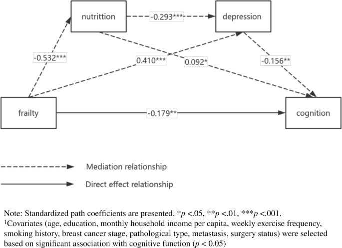 Effects of frailty on cognitive function in breast cancer patients: the mediating roles of nutrition and depressive symptoms