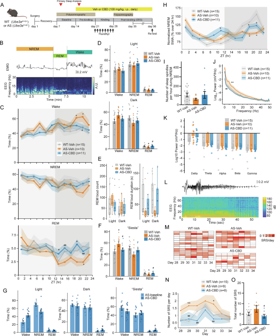 Cannabidiol corrects sleep deficits and reduces spontaneous seizures in Angelman syndrome model mice