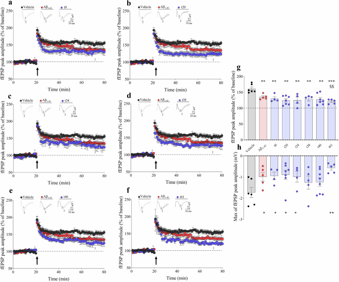 Amyloid-beta fibrils as active contributors to synaptic dysfunction in Alzheimer’s disease