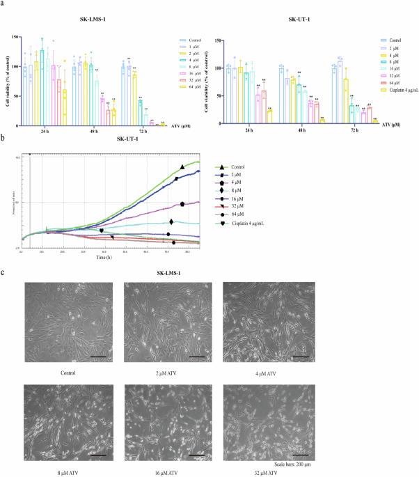 Repurposing atorvastatin for uterine leiomyosarcoma: mevalonate pathway inhibition yields preclinical antitumor efficacy