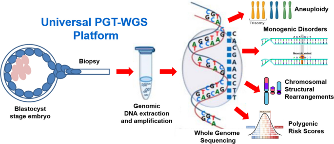 Ethical Challenges with Comprehensive, Integrated, and Universal Preimplantation Genetic Testing Platforms Utilizing Whole Genome Sequencing (PGT-WGS)