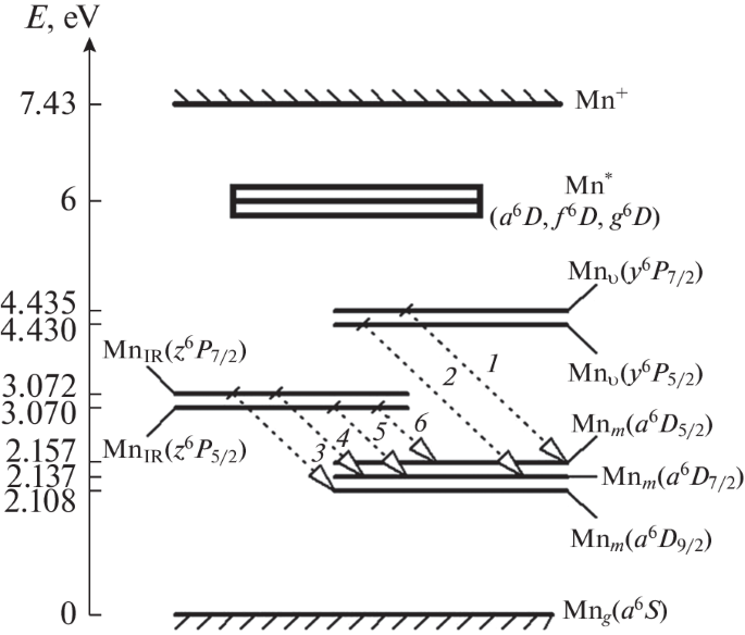 Infrared-to-Visible Conversion in Mn Vapor Active Media