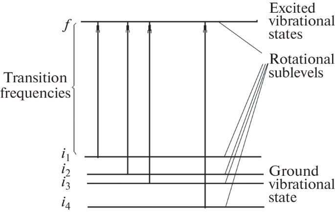 Automatic Identification of Lines in Vibrational-Rotational Spectra: Trainable Neural Network Based Software