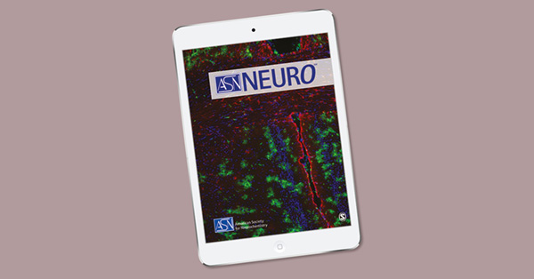 B and T Lymphocyte Densities Remain Stable With Age in Human Cortex