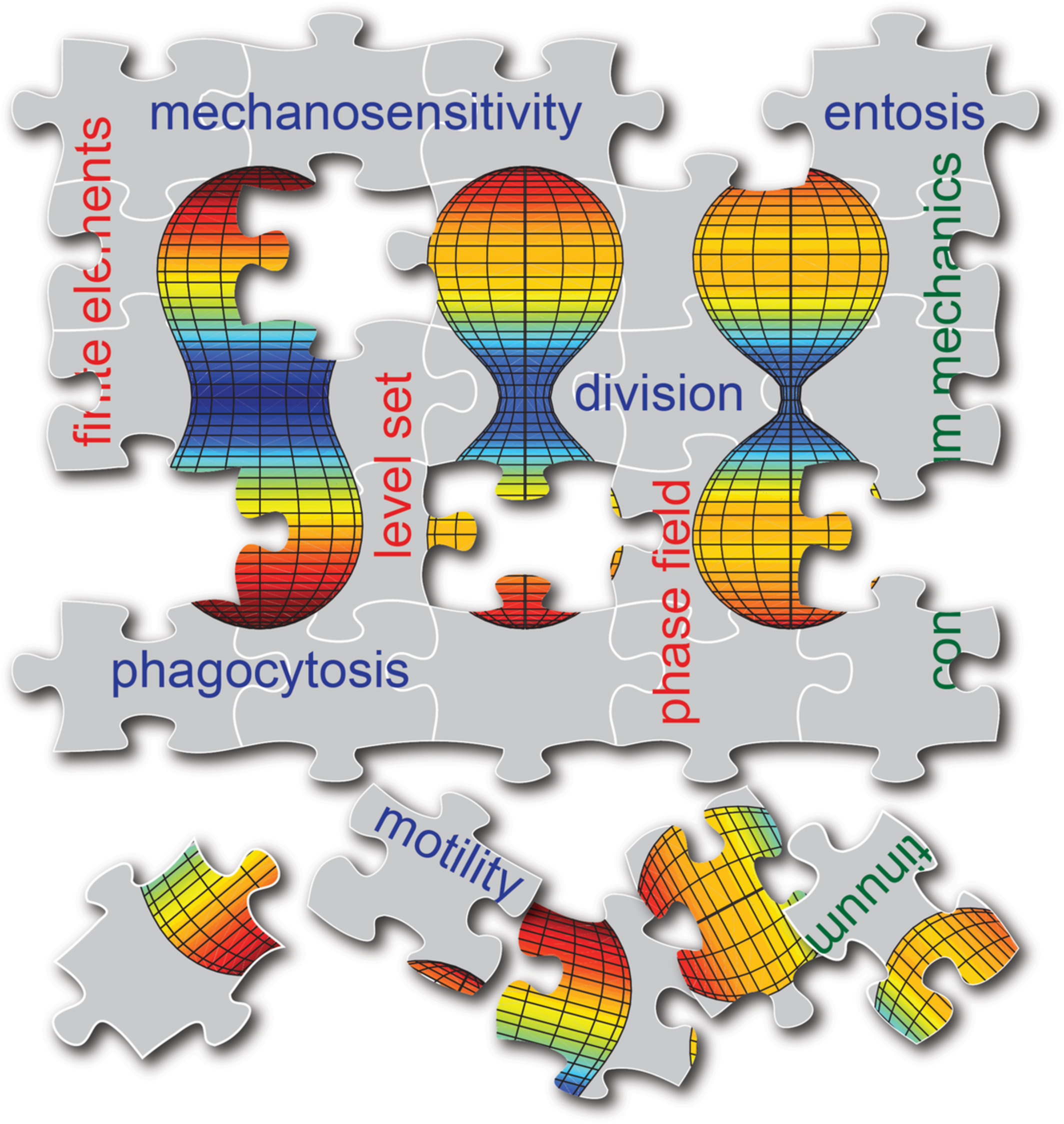 Tools for computational analysis of moving boundary problems in cellular mechanobiology