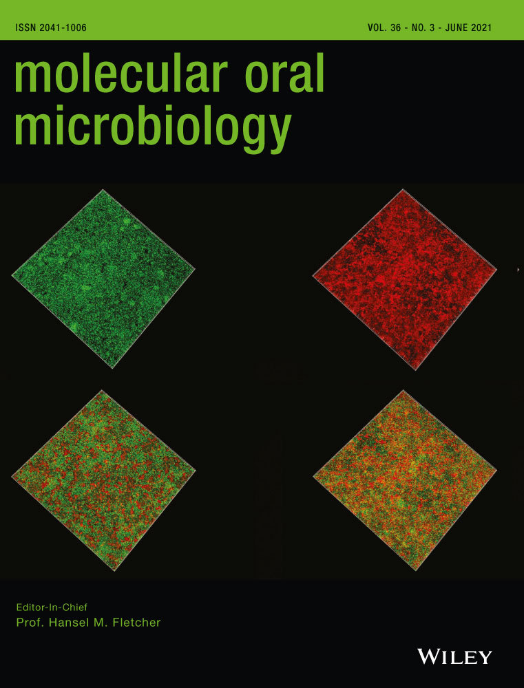 The RagA and RagB proteins of Porphyromonas gingivalis