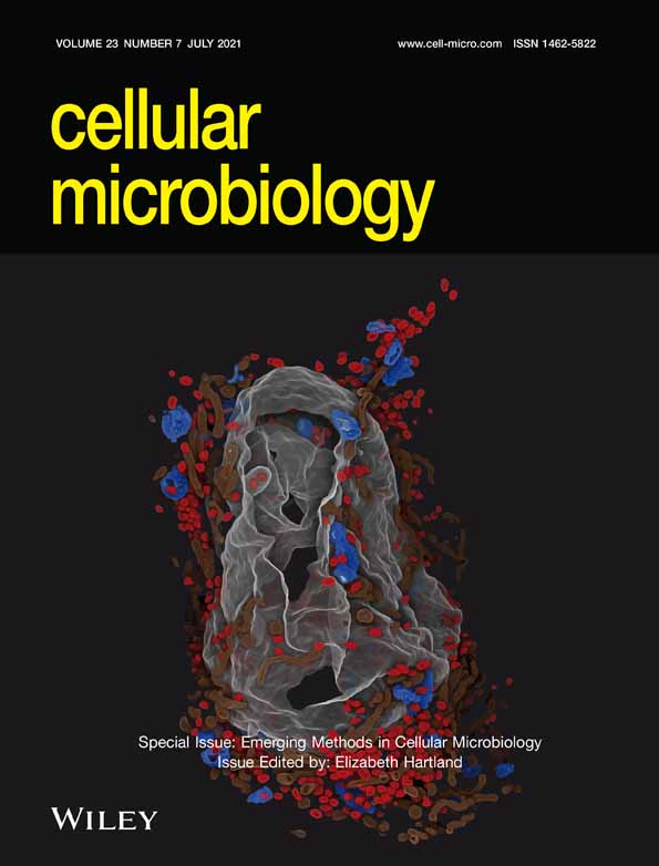 Advanced microscopy technologies enable rapid response to SARS‐CoV‐2 pandemic