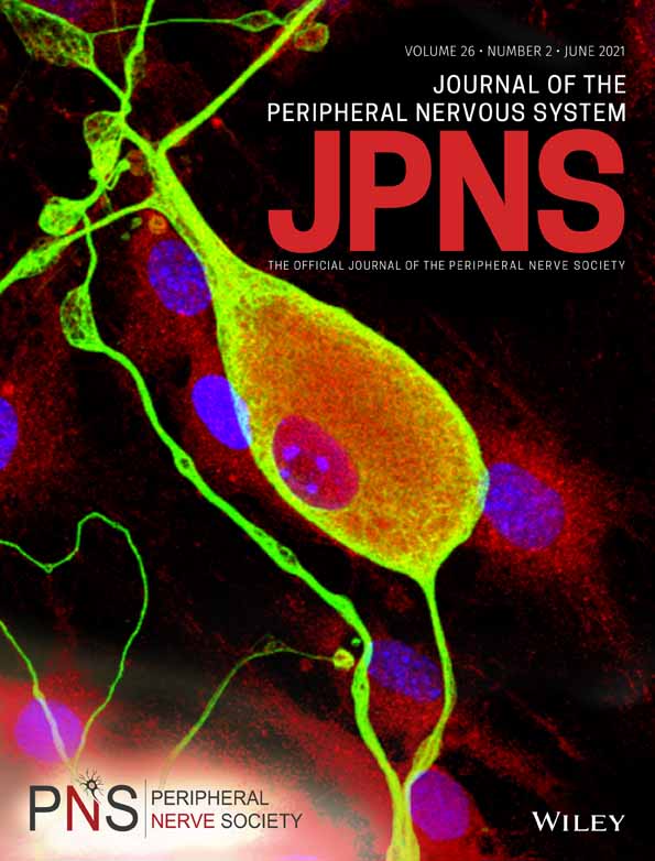 Charcot‐Marie‐Tooth disease: genetic profile of patients from a large Brazilian neuromuscular reference center