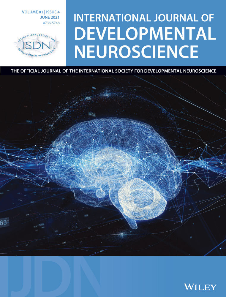 Living with female rats exposed to restraint stress during pregnancy caused depressive‐like behavior in male rats and stress‐induced apoptosis