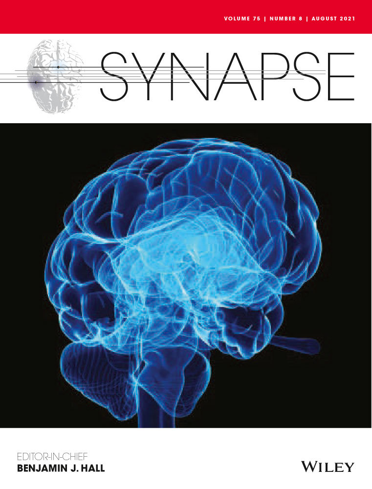 Acute Delta 9‐tetrahydrocannabinol administration differentially alters the hippocampal opioid system in adult female and male rats