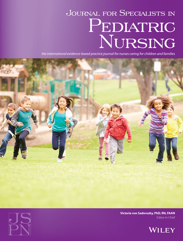 Lessons learned in the development of a nurse‐led family centered approach to developing a holistic comprehensive clinic and integrative holistic care plan for children with cerebral palsy