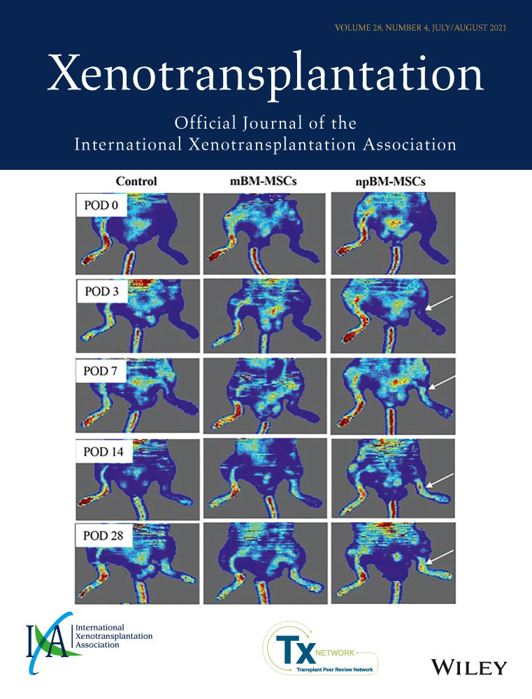 Sensitive detection systems for infectious agents in xenotransplantation*