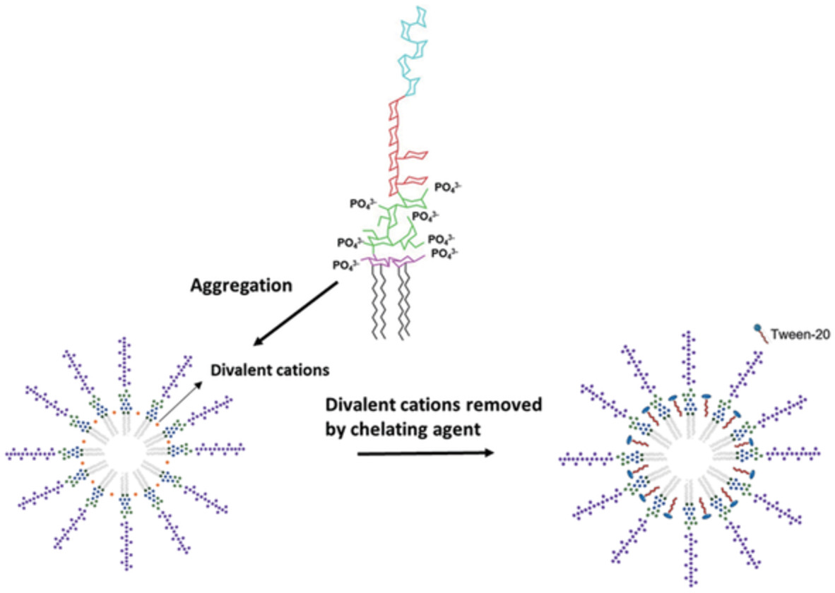 Low endotoxin recovery and its impact on endotoxin detection