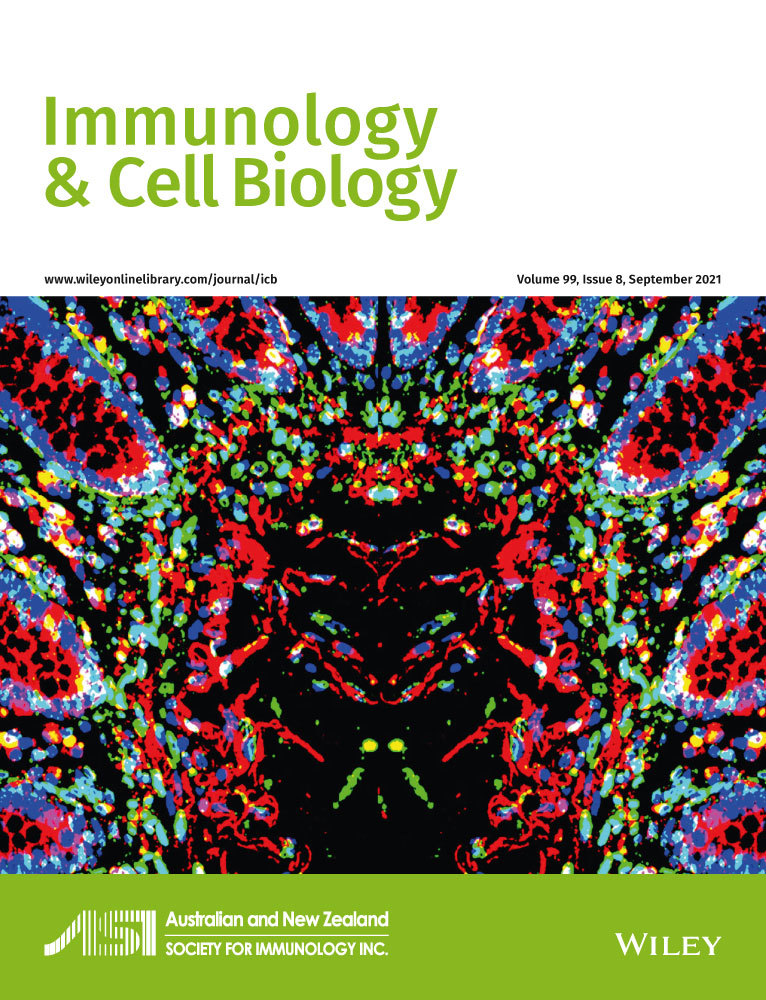 Streptolysins are the primary inflammasome activators in macrophages during Streptococcus pyogenes infection