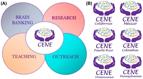 Hispano‐American Brain Bank on Neurodevelopmental Disorders: An initiative to promote brain banking, research, education, and outreach in the field of neurodevelopmental disorders