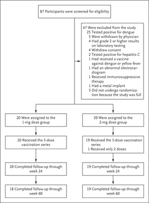 Safety and Immunogenicity of an Anti–Zika Virus DNA Vaccine