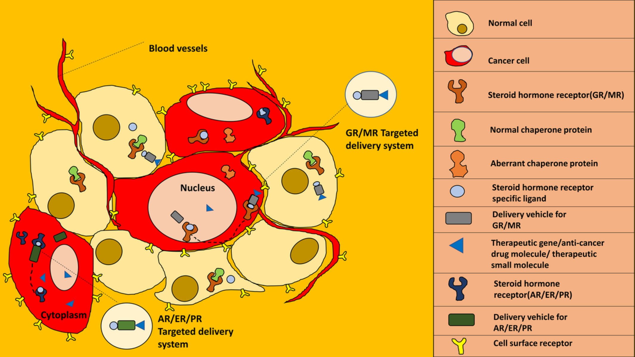 Targeting steroid hormone receptors for anti‐cancer therapy—A review on small molecules and nanotherapeutic approaches