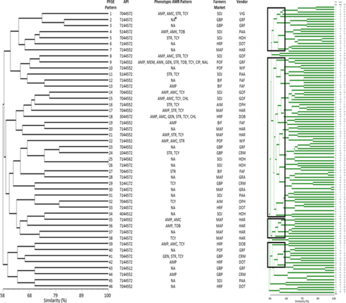 Prevalence and antimicrobial resistance of foodborne pathogens in value‐added commodities procured from farmers' markets in Central Virginia